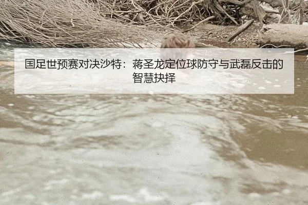 guo-zu-shi-yu-sai-dui-jue-sha-te-jiang-sheng-long-ding-wei-qiu-fang-shou-yu-wu-lei-fan-ji-de-zhi-hui-jue-ze-2-261.jpg