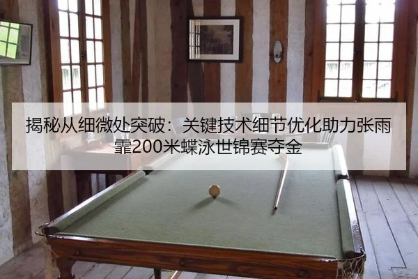 jie-mi-cong-xi-wei-chu-tu-po-guan-jian-ji-shu-xi-jie-you-hua-zhu-li-zhang-yu-fei-mi-die-yong-shi-jin-sai-duo-jin-3-283.jpg