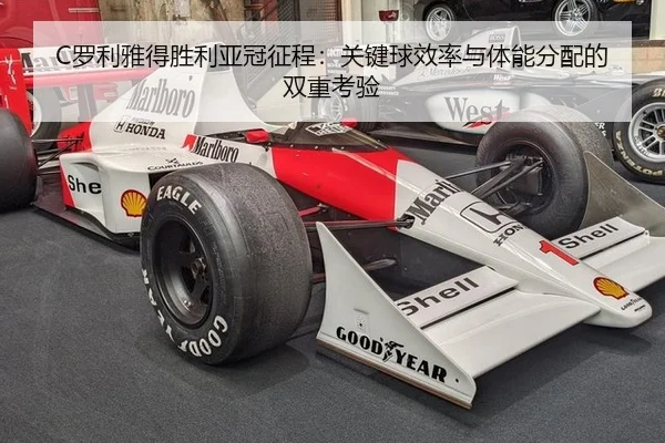 luo-li-ya-de-sheng-li-ya-guan-zheng-cheng-guan-jian-qiu-xiao-lv-yu-ti-neng-fen-pei-de-shuang-chong-kao-yan-3-719.jpg