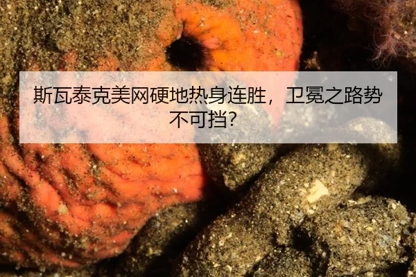 si-wa-tai-ke-mei-wang-ying-di-re-shen-lian-sheng-wei-mian-zhi-lu-shi-bu-ke-dang-3-691.jpg