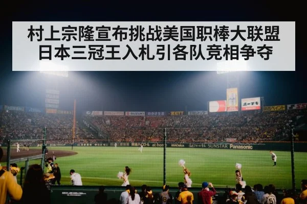 baseball stadium night game