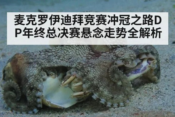 麦克罗伊迪拜竞赛冲冠之路DP年终总决赛悬念走势全解析